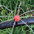 AquaFlow Sprinkler-Dripper | Precise Plant Irrigation