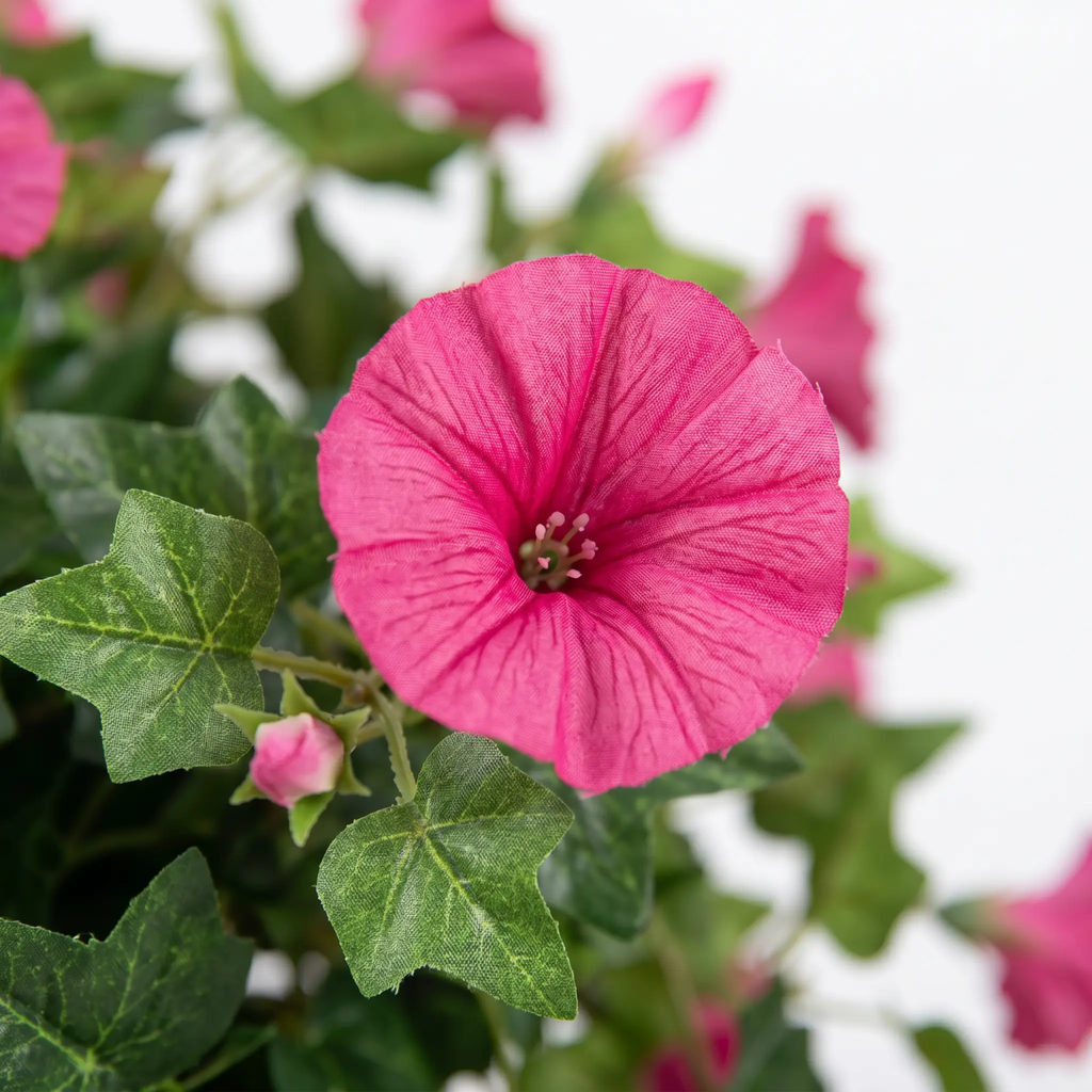 Realistic, UV-resistant artificial morning glory - Buy one, get one!
