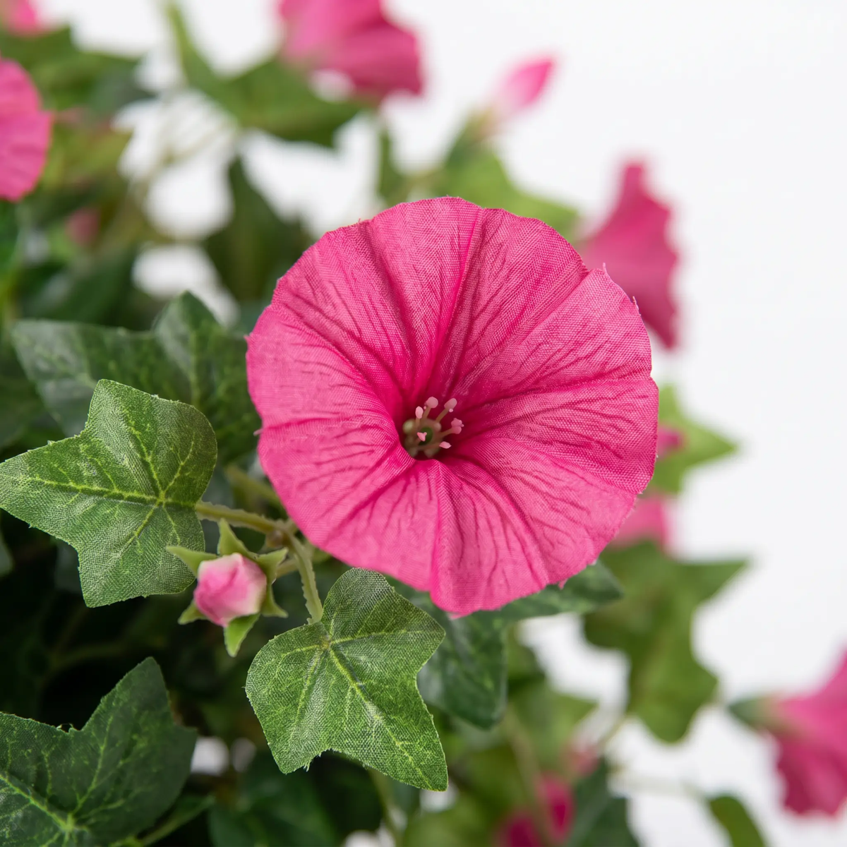 Realistic, UV-resistant artificial morning glory - Buy one, get one!