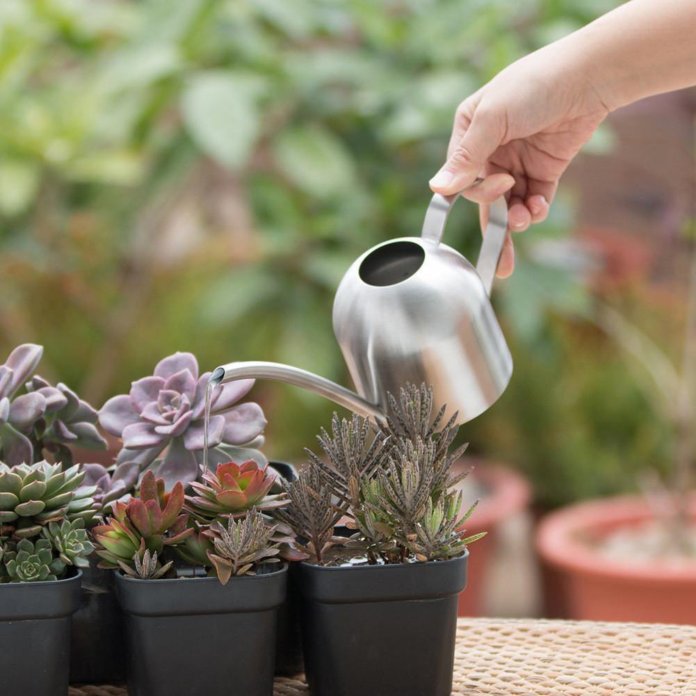 AquaGrace Stainless Steel Watering Can with Flexible Neck | Modern Design | Perfect Watering | Rustproof