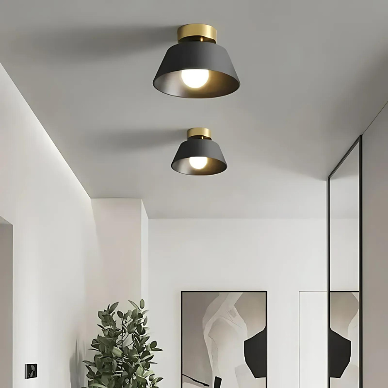 Stylish LED ceiling lamp for your home