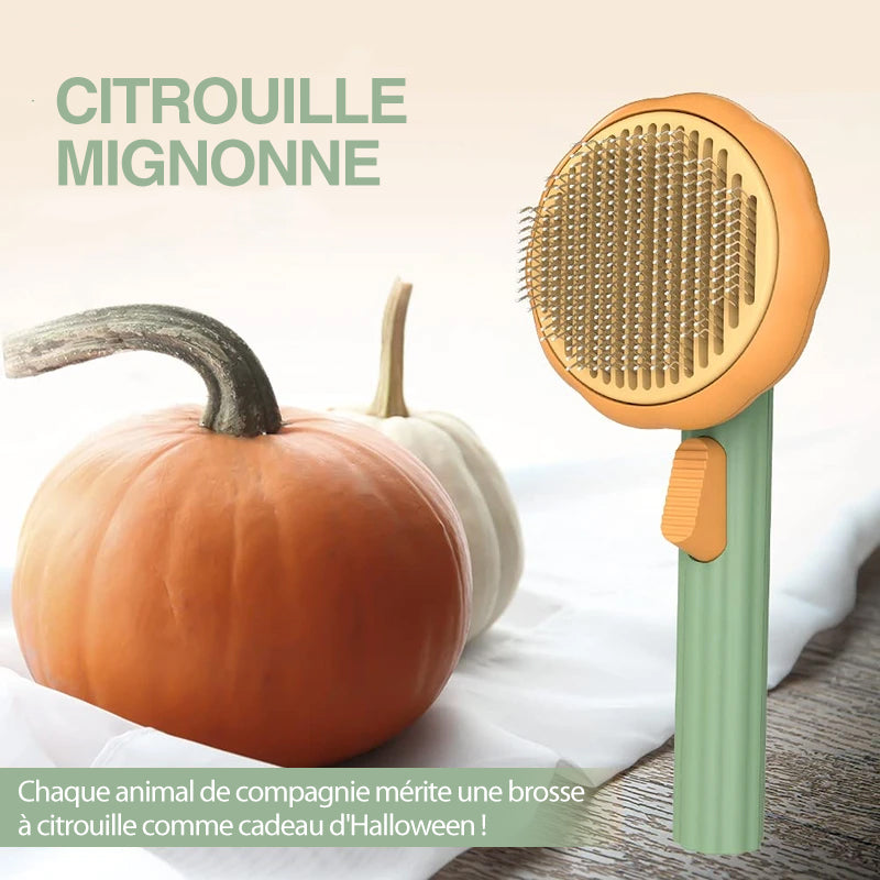 Pumpkin Comb Brush for Pets