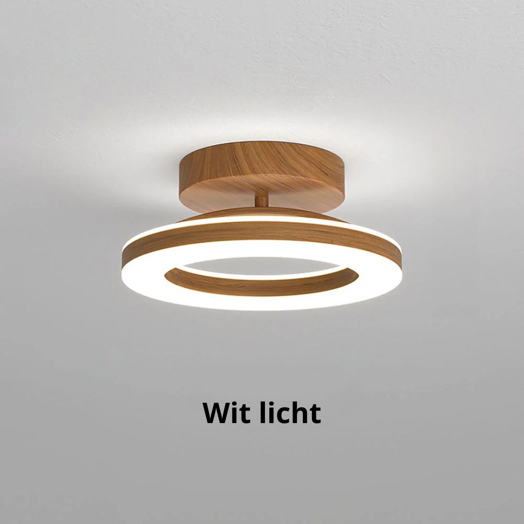 Round Ceiling Lamp LED Acrylic for Hall and Entrance