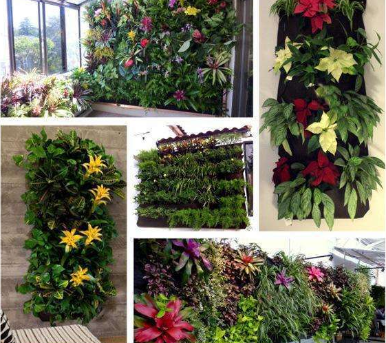 Plant wall bags for garden – Vertical planter for indoors and outdoors