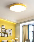 Modern Ceiling Lamp with Nature-Inspired Shape