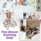 Plum Blossom Positioning Class