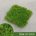 Moss Cover Piece – Moss Flakes Ornament for Decoration and Landscaping
