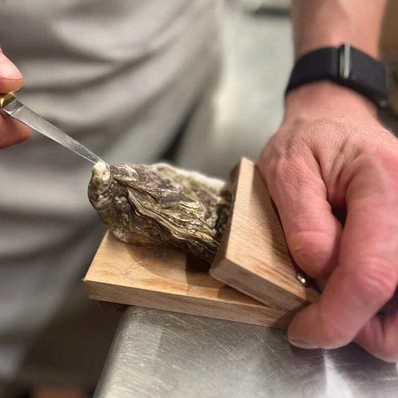 Oyster Scallop Press Pliers