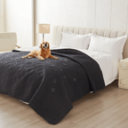 Versatile Moisture-Proof Dog Mat