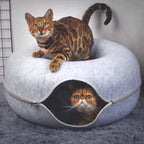 Cozy Donut Cat Bed – Plush Material, Non-Slip Bottom, 20-Inch Diameter, Ideal for Relaxation and Play