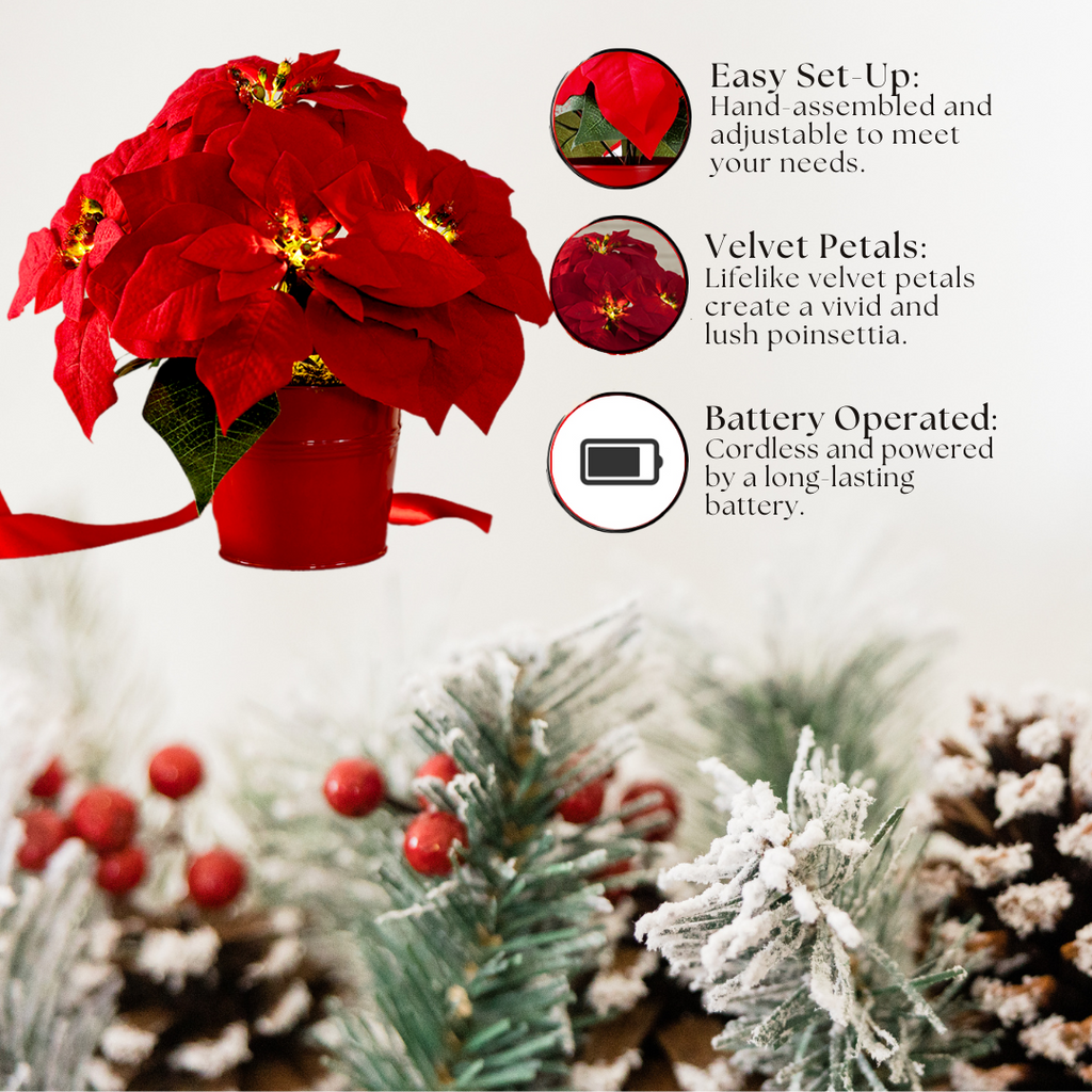 Red Poinsettia - Illuminate Your Holidays with Elegance