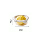 Silicone Lid Fresh Box