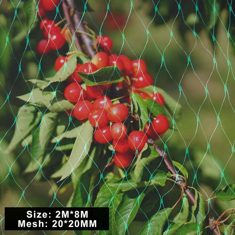 Protective net for garden plants – Green net against pests and animals