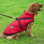 Winter coat with zipper for dogs