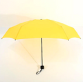 Mini Pocket Umbrella