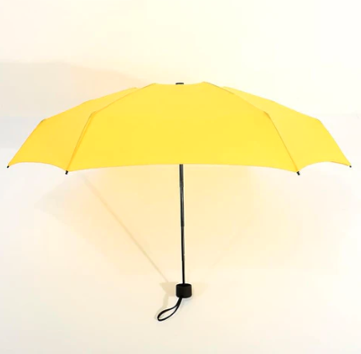 Mini Pocket Umbrella