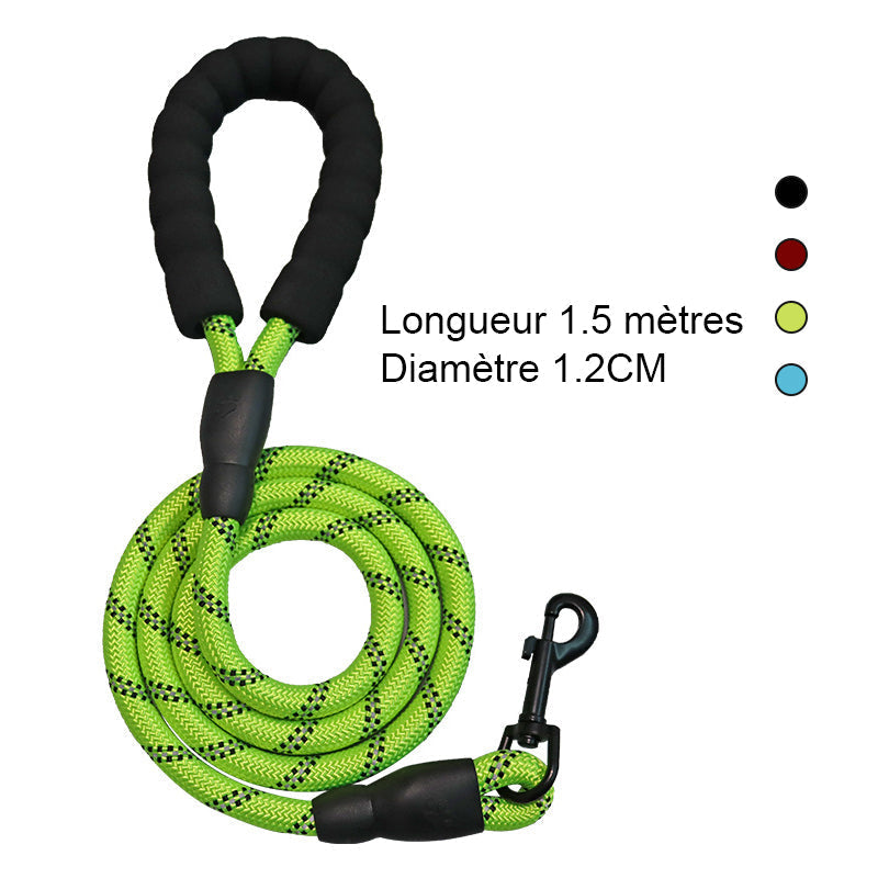 3-in-1 Pet Walking Kit
