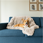 Luxury Calming Dog Blanket – Soft, Pet-Friendly Fabric for Enhanced Sleep and Comfort, Machine Washable, Multiple Sizes Available