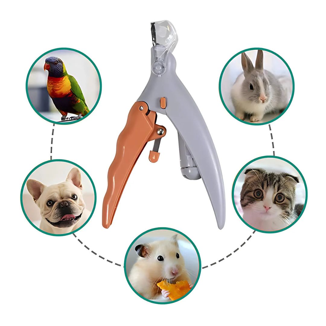 PawSure | Pet Nail Clipper - Quick Sensor - LED Light - Safety Guard - Stainless Steel Blades - Safe, Easy and Precise Nail Trimming