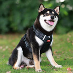Reflective Dog Harness