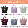 Dry and wet divider double-layer travel bag