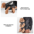 Dog Carrier Backpack | Ideal Canine Rucksack for Walking and Backpacking Adventures