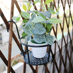 Hanging Window Flower Basket