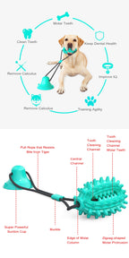 Single Suction Cup Cactus Chew Ball for Dogs
