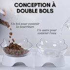 Feeding bowl for cats