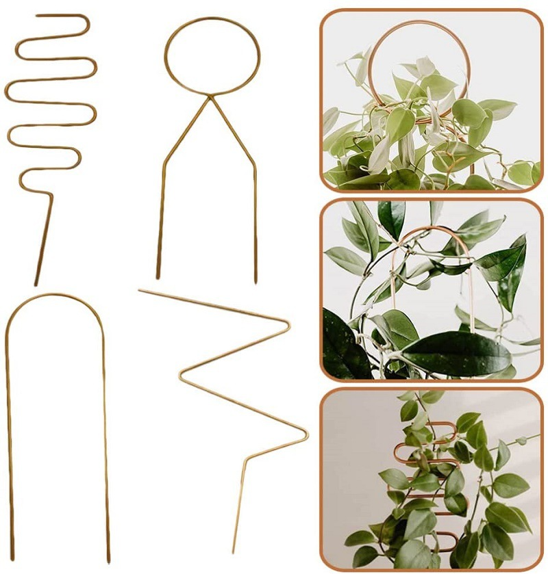 Metal plant support for climbing plants in various shapes