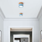Ceiling Light with Pink Flush Wood Finish