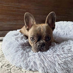 Fluffy Calming Pet Bed for Dogs and Cats