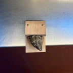 Oyster Scallop Press Pliers