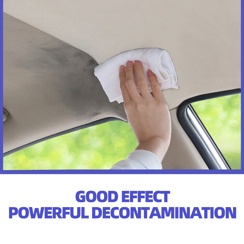 Auto Interior Fabric Cleaner