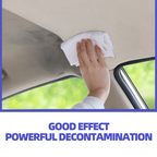 Auto Interior Fabric Cleaner