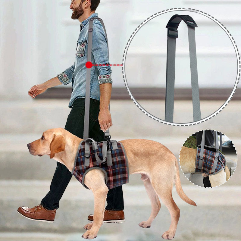 Orthopedic Strap for Hind Legs