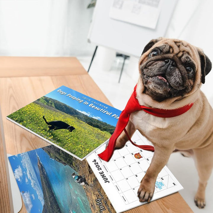 Funniest Calendar-Dogs Pooping in Beautiful Places | "Artistic Expression" of Furry Friends