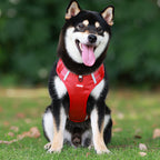 Reflective Dog Harness