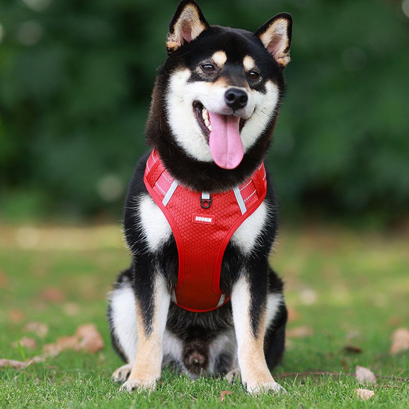 Reflective Dog Harness