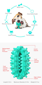 Cactus Chew Ball / For Dogs