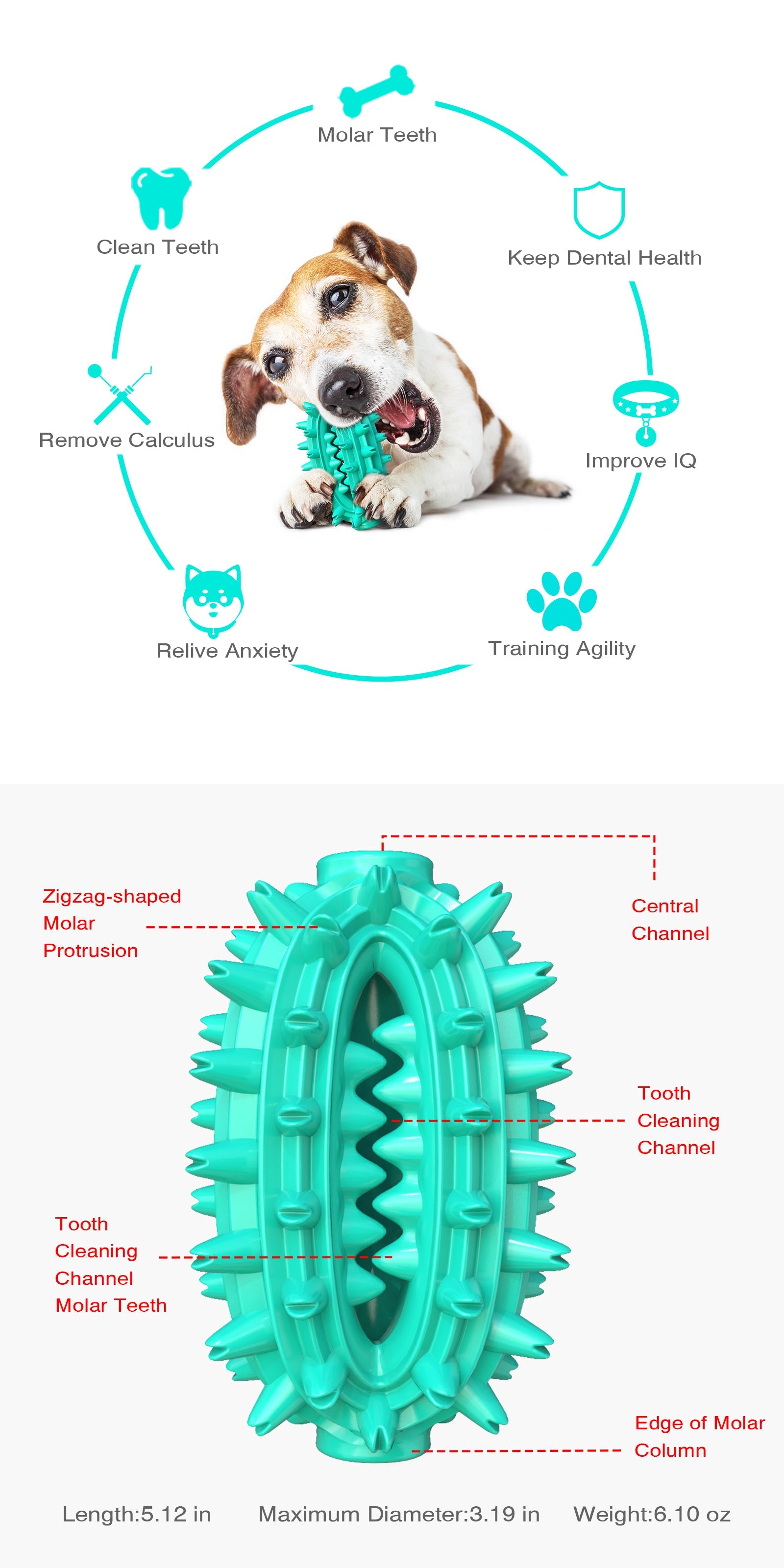 Cactus Chew Ball / For Dogs