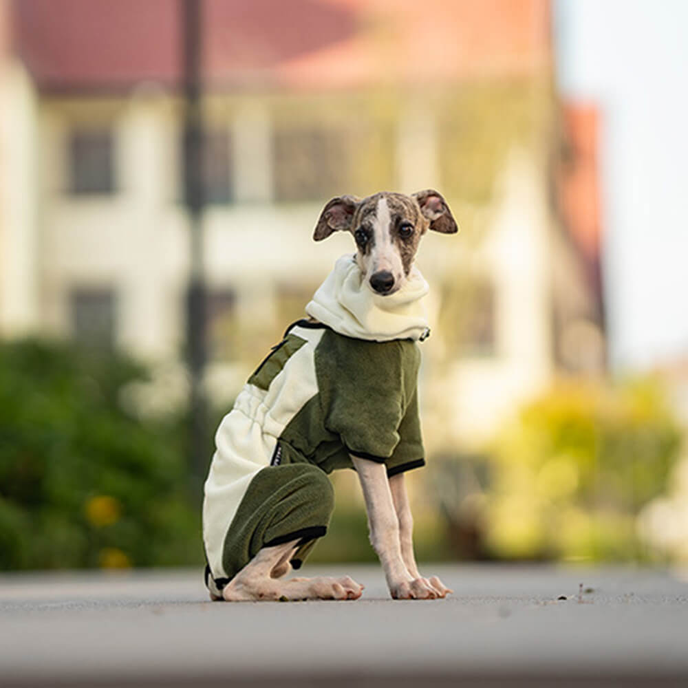 Full Protection Polar Fleece Dog Overall with Removable Collar
