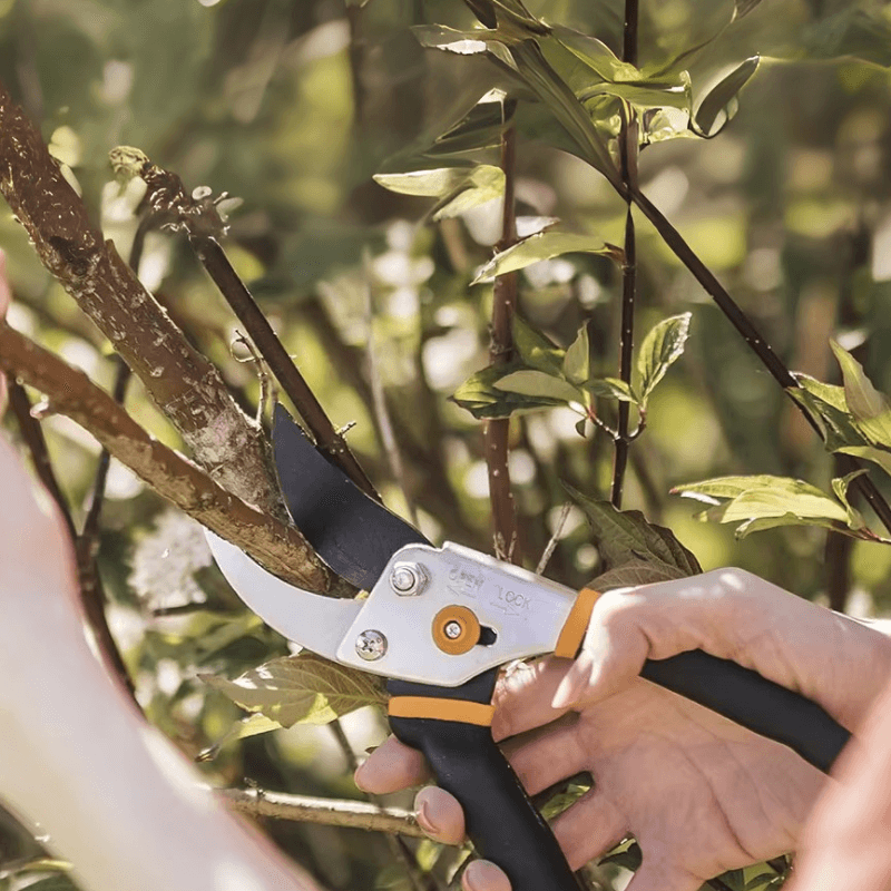 Cutivor Pro Garden Shears | Stainless Steel Blade | Ergonomic & Non-Slip | Precision for Fruit Trees & Shrubs