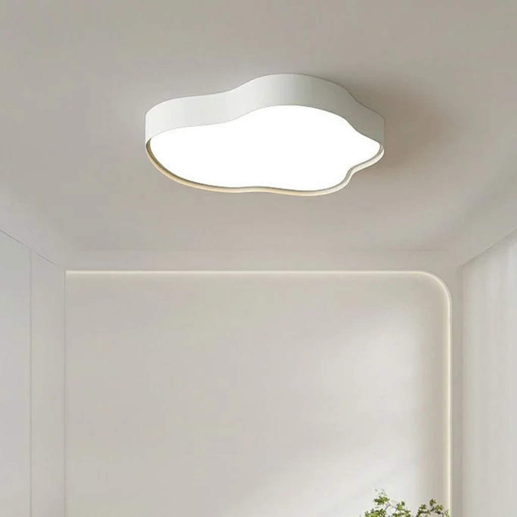Stylish LED Ceiling Lamp