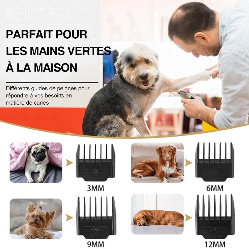Professional pet grooming kit