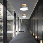 Compact Modern LED Ceiling Lamp
