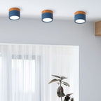 LED Ceiling Light Modern Flush Mount Cylinder