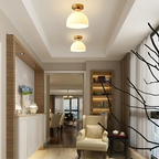Modern Ceiling Lamp