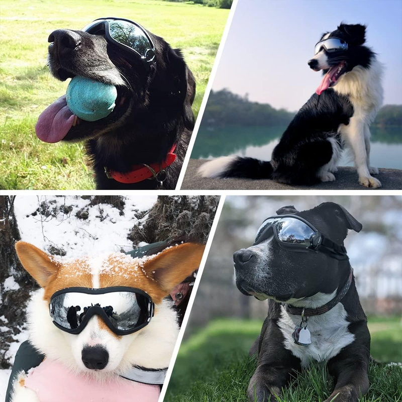 Outdoor Protection Glasses for Dogs