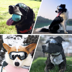 Outdoor Protection Glasses for Dogs